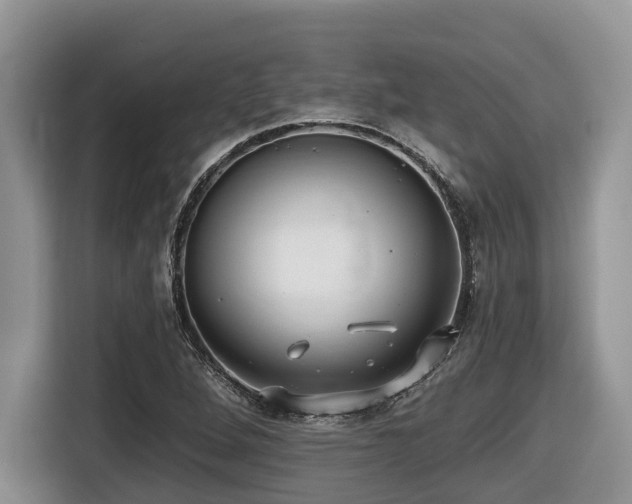 X0000116431264200912081517