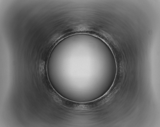X0000116431265200912081517