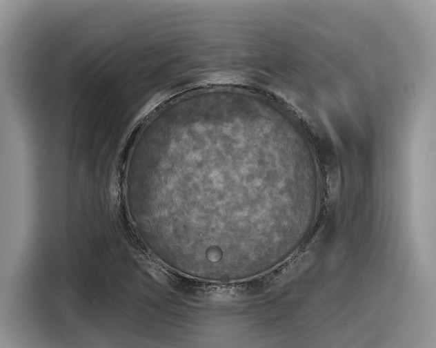 X0000116431266200912081517