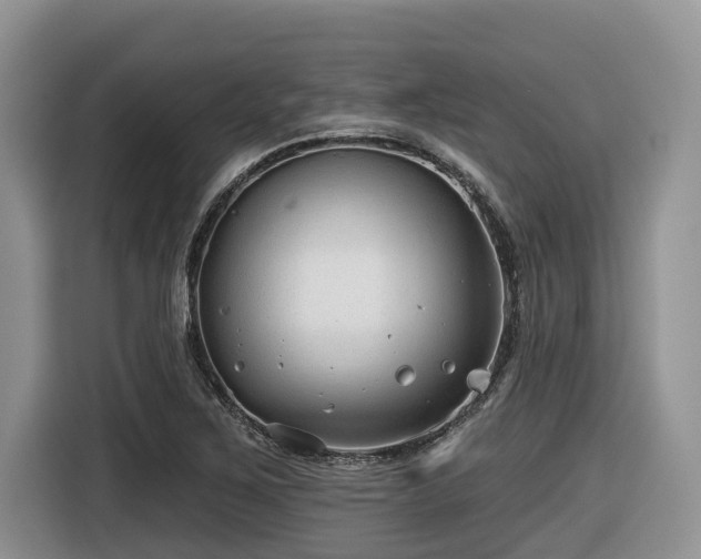 X0000116431267200912081517