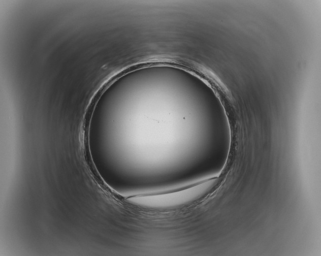 X0000116431268200912081517