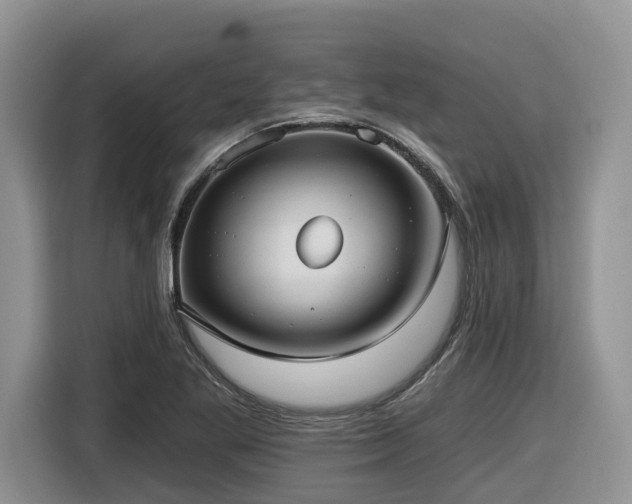 X0000116431269200912081517