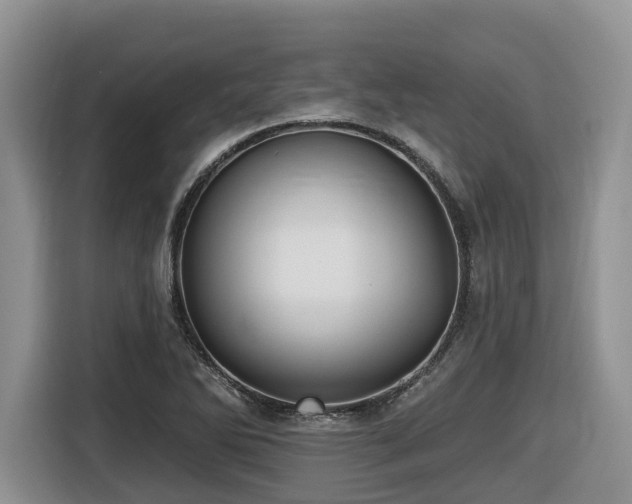 X0000116431270200912081517