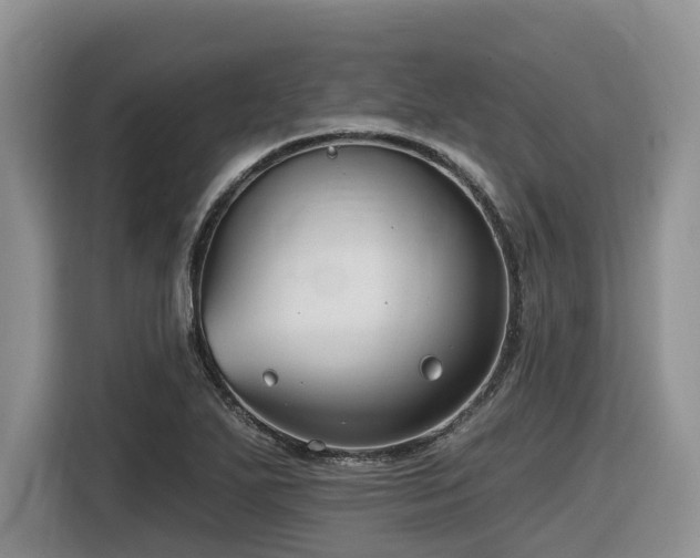 X0000116431271200912081517