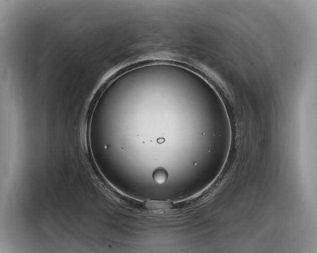 X0000116431272200912081517