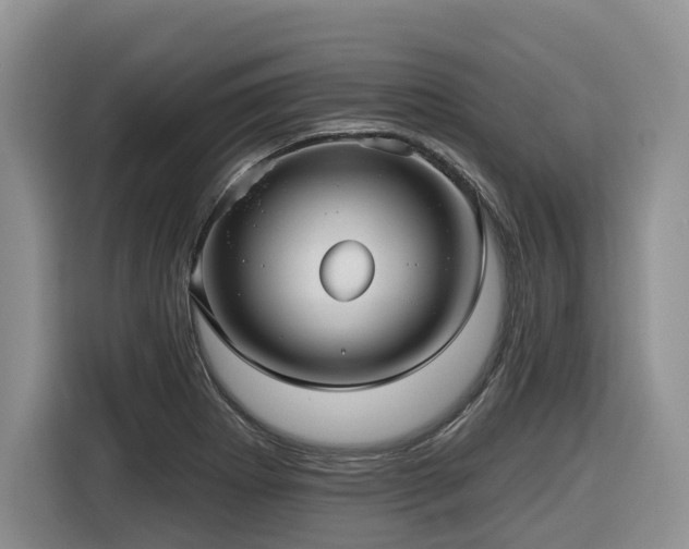 X0000116431273200912081517