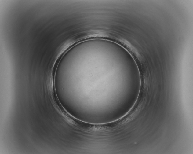 X0000116431274200912081517