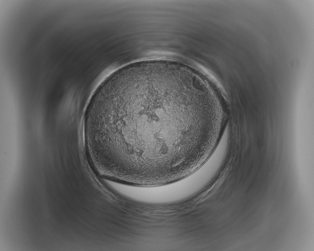 X0000116431275200912081517