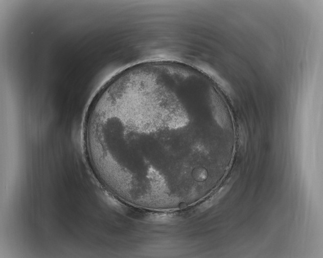 X0000116431278200912081517