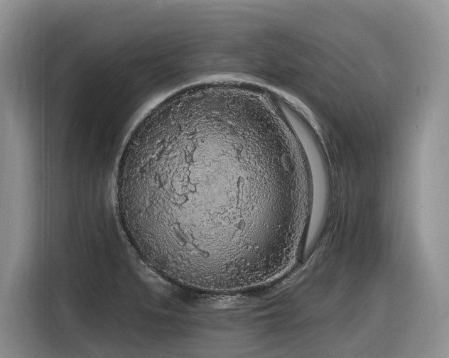 X0000116431279200912081517