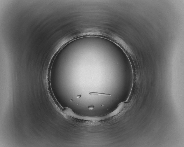 X0000116431282200912081517