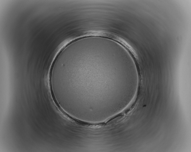 X0000116431283200912081517