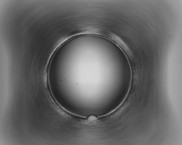 X0000116431284200912081517