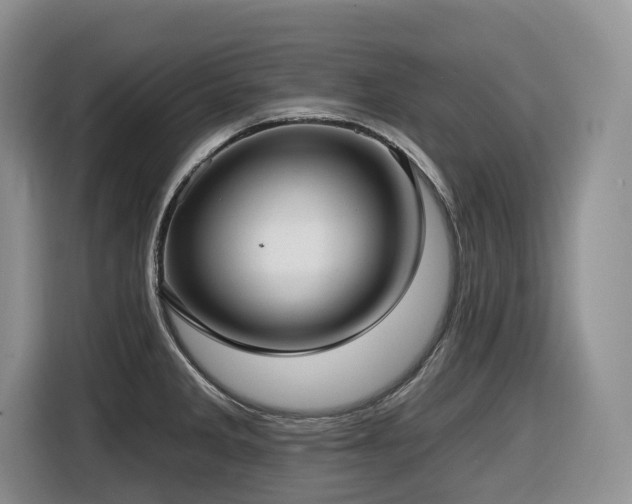 X0000116431285200912081517