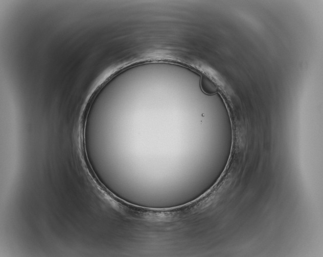 X0000116431286200912081517