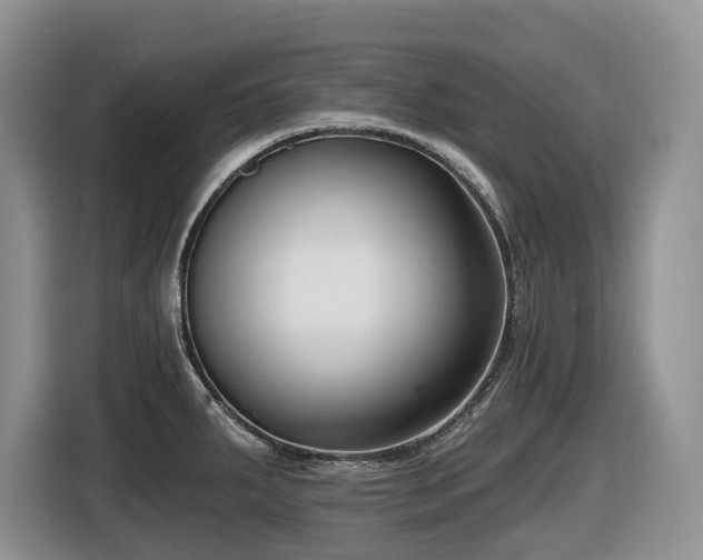 X0000116431287200912081516