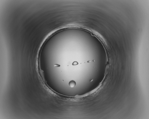 X0000116431288200912081516