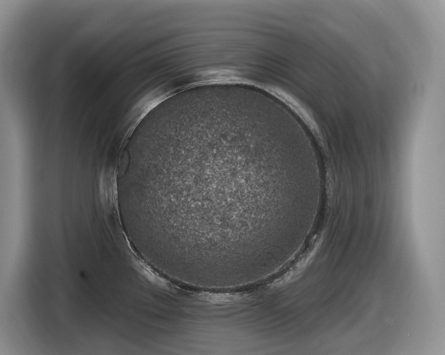 X0000116431289200912081516