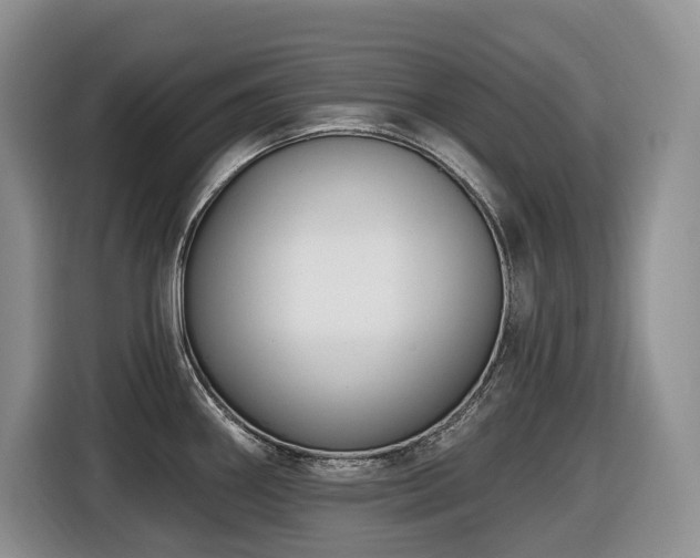 X0000116431290200912081516