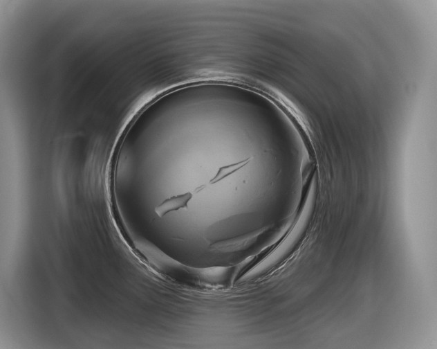X0000116431291200912081516