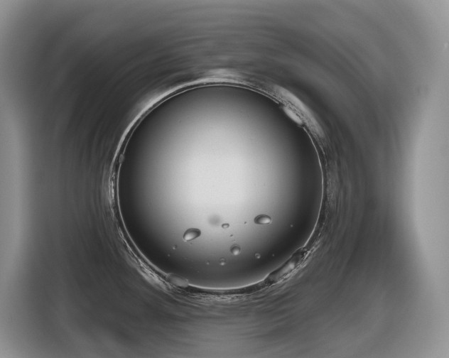 X0000116431292200912081516