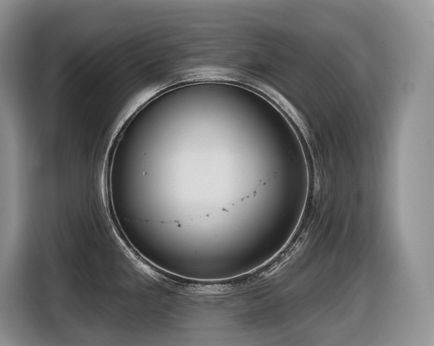 X0000116431293200912081516