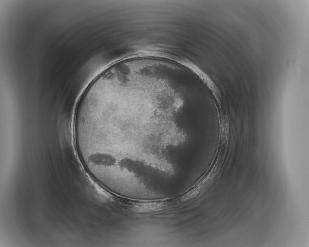 X0000116431294200912081516