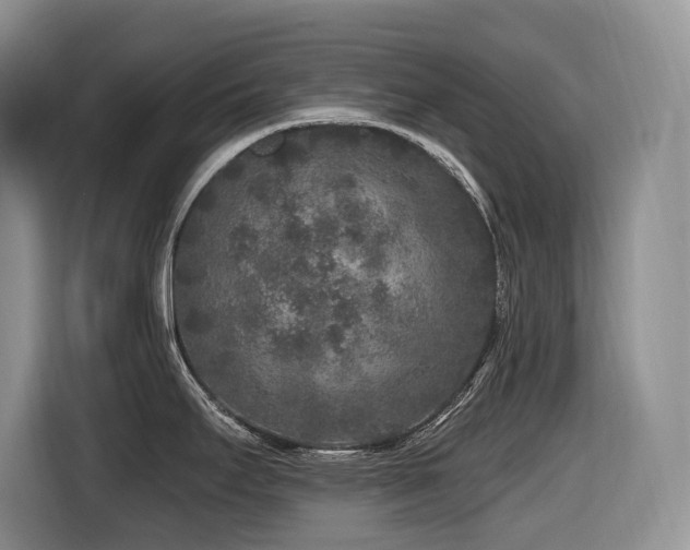 X0000116431295200912081516