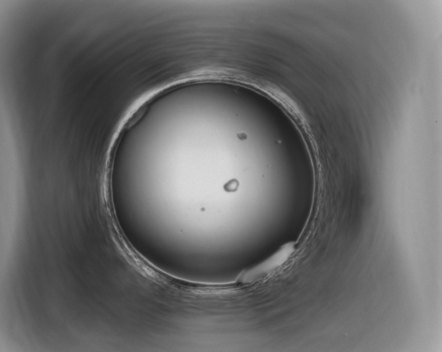 X0000116431296200912081516