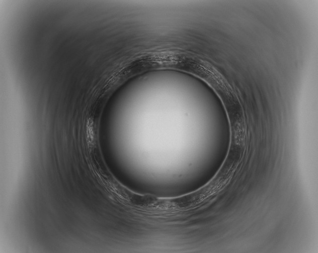 X0000116431298200912081516