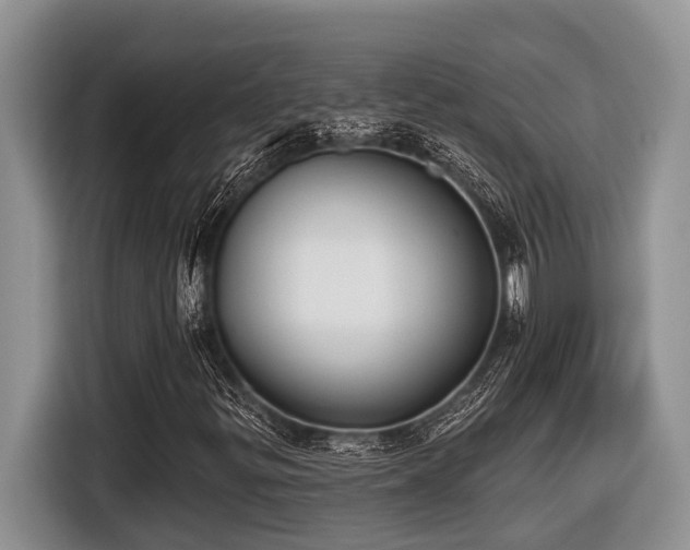 X0000116431299200912081516