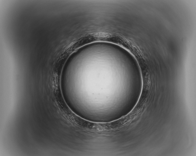 X0000116431301200912081516