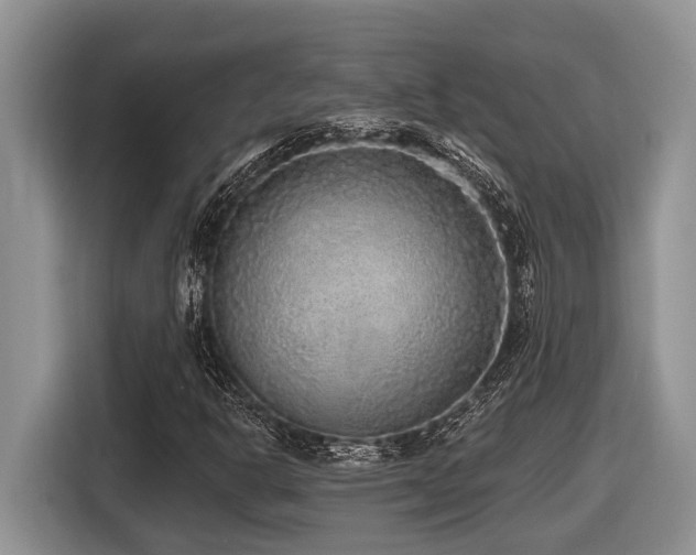 X0000116431302200912081516