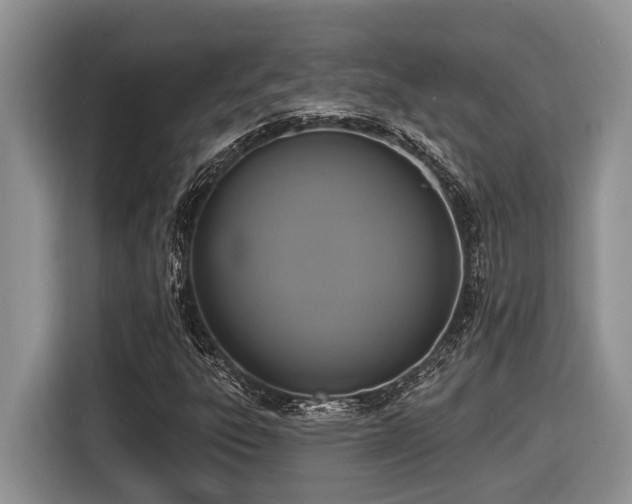 X0000116431303200912081516