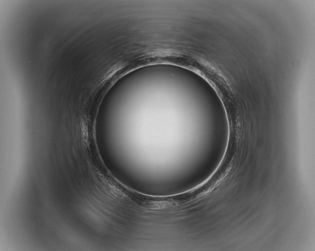 X0000116431305200912081516