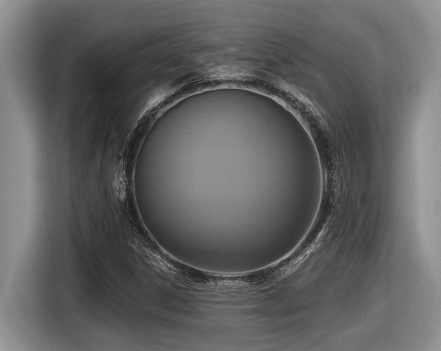 X0000116431306200912081516