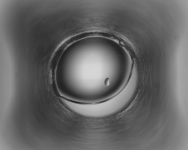 X0000116431310200912081516