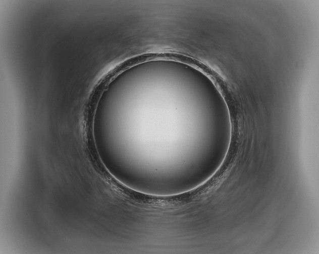 X0000116431311200912081516