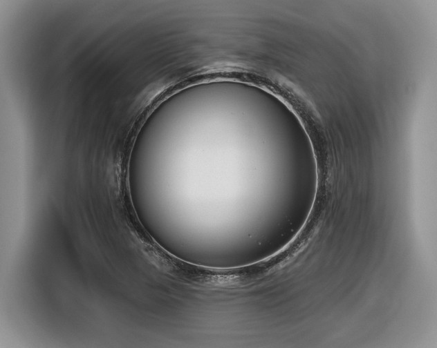 X0000116431313200912081516