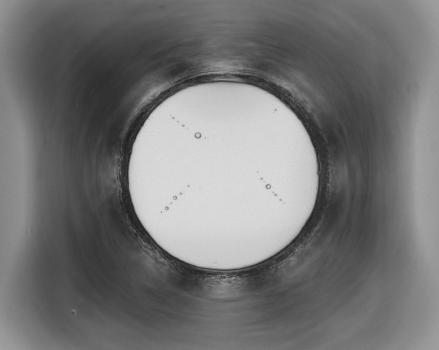 X0000116431314200912081516