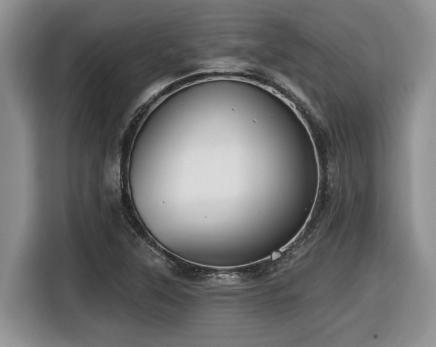 X0000116431315200912081516