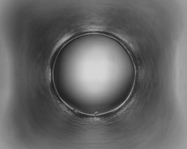X0000116431317200912081516