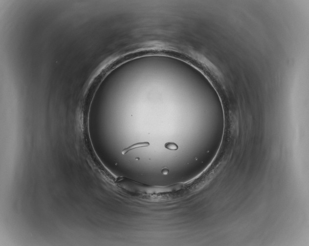 X0000116431318200912081516