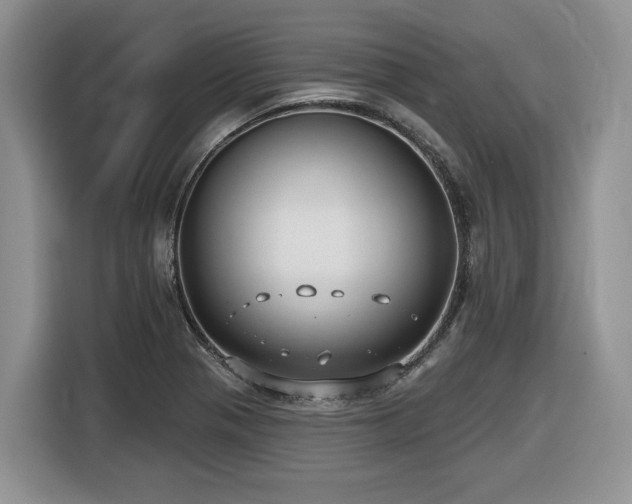 X0000116431321200912081516