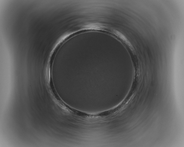 X0000116431323200912081516