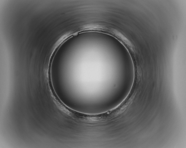 X0000116431330200912081516