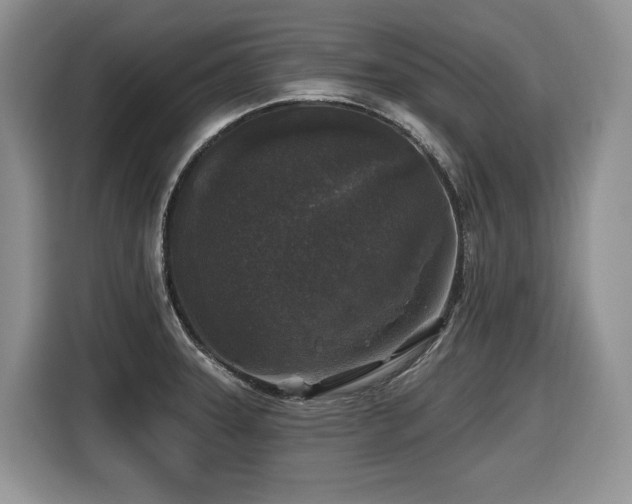 X0000116431331200912081516