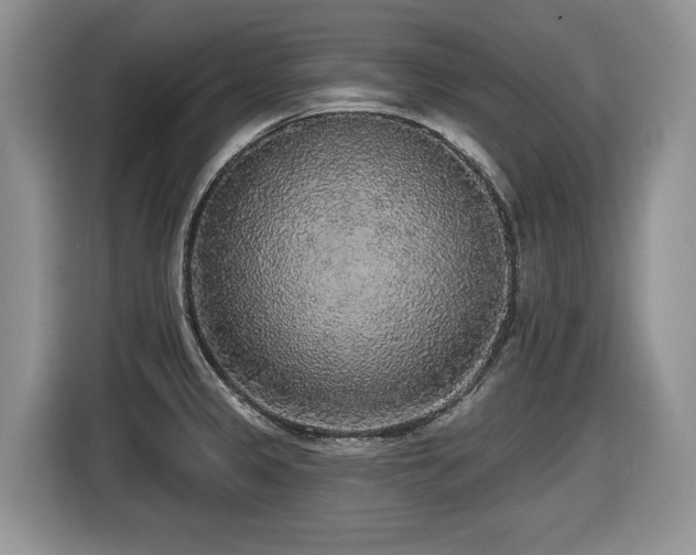X0000116431333200912081516
