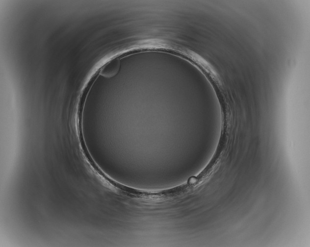 X0000116431334200912081516