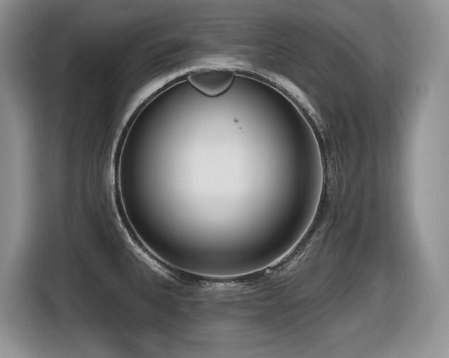 X0000116431335200912081516